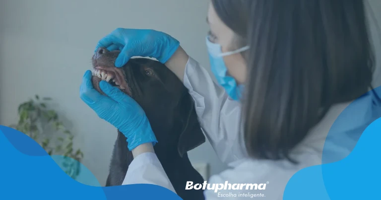 Higiene Bucal e Hálito dos pets