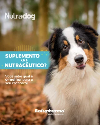 Você já ficou na dúvida entre suplemento e nutracêutico? 🤔
Essa confusão é MUITO comum — e entender a diferença pode mudar totalmente a forma como você cuida do seu pet!Enquanto o suplemento entra para completar a alimentação, o nutracêutico vai além: ajuda o organismo a funcionar melhor, dando suporte à imunidade, ao metabolismo, à inflamação e muito mais. 💙Mas atenção! 🚨
Nenhum deles substitui o acompanhamento e a orientação do médico-veterinário.Agora me conta aqui:
Você já usa algum suplemento ou nutracêutico com seu pet?
#saúdepet #nutriçãoanimal #cãesaudáveis #petcare #amordepet #dicaspet #vidadepet #nutracêutico #suplementaçãopet #cuidadoanimal #botupharma #botupharmapet
#escolhainteligente