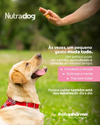 Um petisco não é só um agrado.
É comunicação, conexão e cuidado.✨ Reforço positivo
Ajuda o cão a aprender comportamentos de forma leve e feliz.💙 Fortalece o vínculo
Cada recompensa é um momento de conexão entre vocês.🧠 Estimula a mente
Petiscos podem ser usados em brincadeiras e desafios.😌 Traz bem-estar
Pequenos momentos de prazer fazem diferença na rotina.
#Nutradog #Botupharma #BotupharmaPet