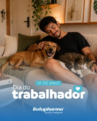 Seu pet não entende o que é feriado, mas com certeza percebe quando você está mais presente.É o momento de passear sem pressa, brincar mais, criar novas rotinas e fortalecer ainda mais essa conexão tão especial. 🐶🐱🩵
#botupharma #botupharmapet #cão #cachorro #gato #diadotrabalho #diadotrabalhador #trabalho #familia #descanso