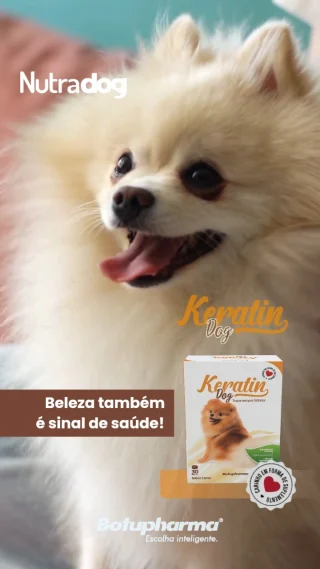 O Keratin Dog oferece suporte nutricional para pele e pelagem, contribuindo para a manutenção da estrutura cutânea e o bem-estar do seu pet.Com nutrientes importantes para esse cuidado, ele auxilia na rotina de saúde de dentro para fora.Porque cuidar da pele também é cuidar da qualidade de vida. 🐾#KeratinDog #PeleEPelagem #SaúdeAnimal #NutriçãoFuncional #LinhaNutra #Botupharma #EscolhaInteligente