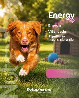O Energy Dog foi desenvolvido para oferecer suporte nutricional completo, contribuindo para a manutenção das defesas naturais, do bem-estar e da qualidade de vida. 🧬Ideal para animais que precisam de um cuidado extra em fases de maior demanda, idade avançada ou recuperação. 💙
#EnergyDog #VitalidadePet #NutriçãoFuncional #BemEstarAnimal #LinhaNutra #Botupharma #EscolhaInteligente