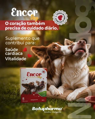 O Encor Dog foi desenvolvido para oferecer suporte nutricional ao sistema cardiovascular e ao metabolismo energético, contribuindo para mais equilíbrio e qualidade de vida. 🩷Nutrientes que participam da saúde cardíaca e da produção de energia, ele auxilia no cuidado funcional do organismoMais saúde, mais vitalidade, mais momentos juntos. 🐾#EncorDog #SaúdeCardíaca #NutriçãoFuncional #BemEstarPet #LinhaNutra #Botupharma #EscolhaInteligente