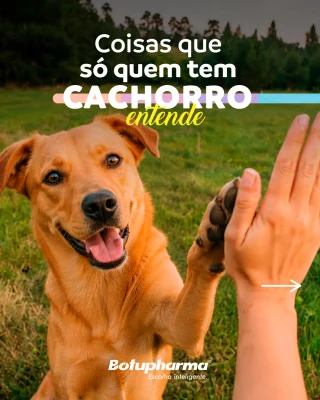 Tem coisas que só quem tem cachorro vai entender… 🐾❤️Você perde espaço na cama, nunca mais vai ao banheiro sozinho e conversa com ele como se fosse gente.E mesmo mudando toda a rotina, a verdade é uma só:
A casa fica mais feliz, a vida mais leve e os dias muito mais cheios de amor.Quem tem cachorro sabe que eles não são pet eles são família.Qual dessas situações faz parte da sua rotina diária?
#Botupharma #Botupharmapet #Doglovers #maedepet #paidepet #petfriendly #pet