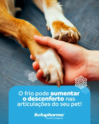 Com a chegada do frio, muitos pets sentem mais desconforto nas articulações — principalmente cães idosos ou com predisposição a problemas articulares. 🐶❄️Perceber mudanças na disposição, dificuldade para levantar ou menos vontade de brincar pode ser um sinal de atenção.O cuidado preventivo ajuda a manter mobilidade, conforto e qualidade de vida durante os dias mais frios. 💚Artroplus®: suporte para articulações mais saudáveis e uma rotina mais leve para o seu pet.
#saudepet #articulacoes #caesidosos #invernopet #artroplus #bemestaranimal #botupharma #botupharmapet