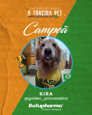 🏆 TEMOS UMA VENCEDORA! 🐾✨Rufem os tambores... 🥁 A grande campeã que brilhou e conquistou nossos corações é a cachorrinha Kira do Instagram @golden_princesakira! Parabéns por esbanjar tanto charme e fofura! 🥇🐶🐱Mas nós precisamos fazer um agradecimento gigantesco a TODOS os pets que entraram nessa brincadeira com a gente. 💖
A participação de cada um de vocês foi essencial! Ver cada foto, cada focinho e cada pose fez com que esse momento fosse incrivelmente especial e importante para nós. Sem vocês, nada disso teria a mesma energia! Nós não temos a menor dúvida: vocês formam, de longe, a torcida pet mais linda do Brasil! 🇧🇷💚💛Parabéns a vencedora e um lambeijo muito carinhoso para todos os participantes! Deixem muito amor para a Kira aqui nos comentários! 👇
#TorcidaPet #PetVencedor #Botupharma #BotupharmaPet #PetsDoBrasil #TorcidaMaisLinda #CachorrosDoBrasil #copadomundo #copadomundo2026